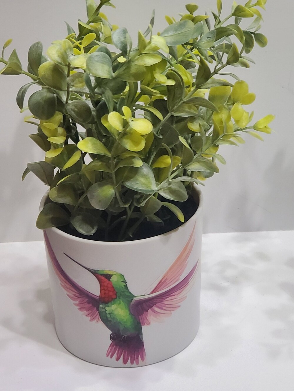 Light Up Plant - Picture 11 of 16